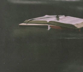 Open Bible resting on a dark leather surface with a ribbon marker and soft, moody lighting