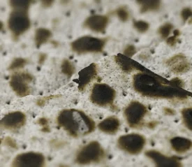 A close-up view of charred, bubbled matzah or flatbread, showing its browned, uneven surface texture