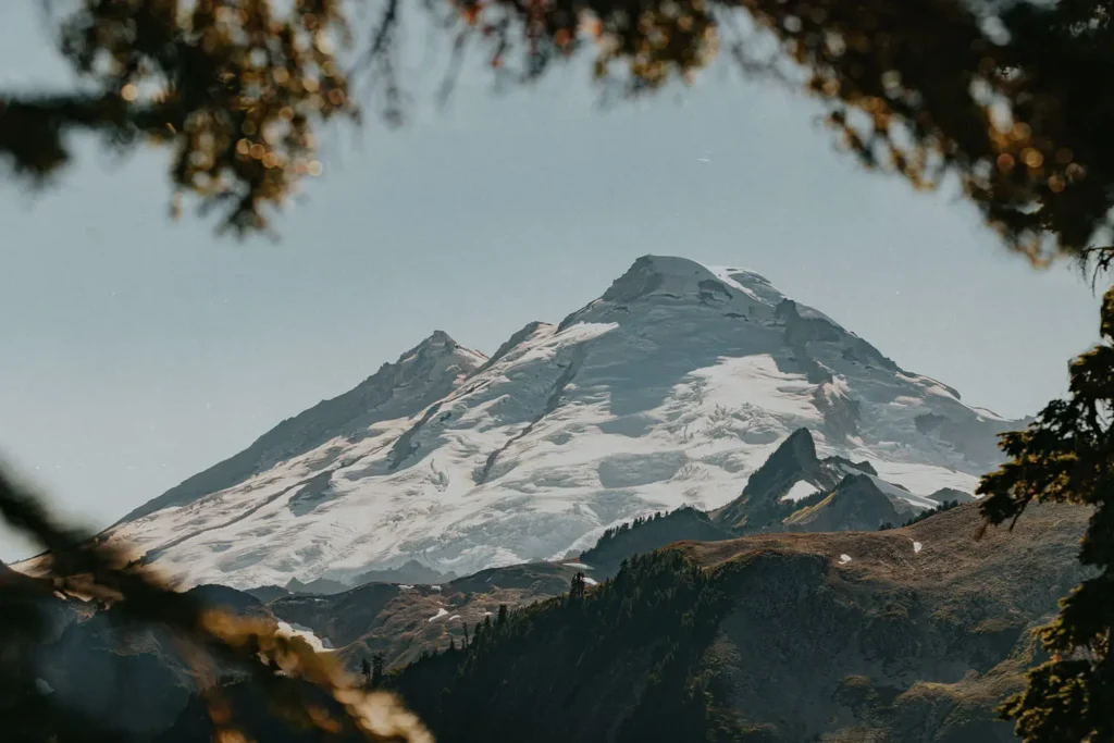Shot from the tree line of a snowy mountain in the distance