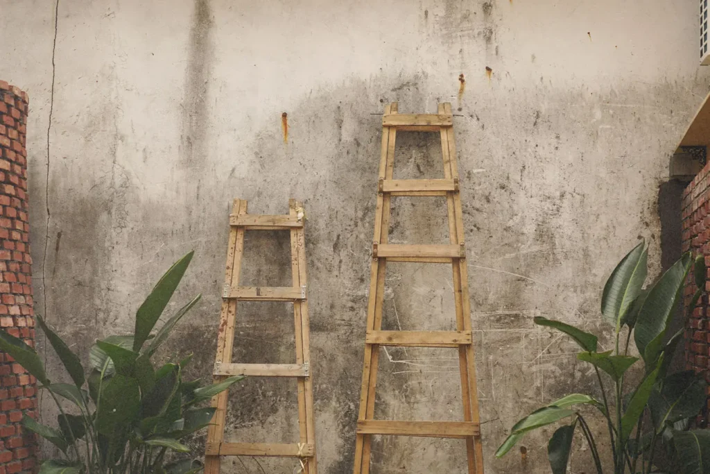 2 wooden ladders