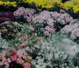 Assorted bouquets of colorful flowers, including pink, yellow, white, and purple blooms