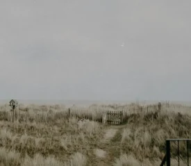 Narrow sandy path leading through tall beach grass toward a faded wooden gate under a gray sky
