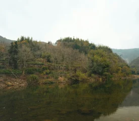 Still water reflecting a hillside covered in trees and greenery on an overcast day