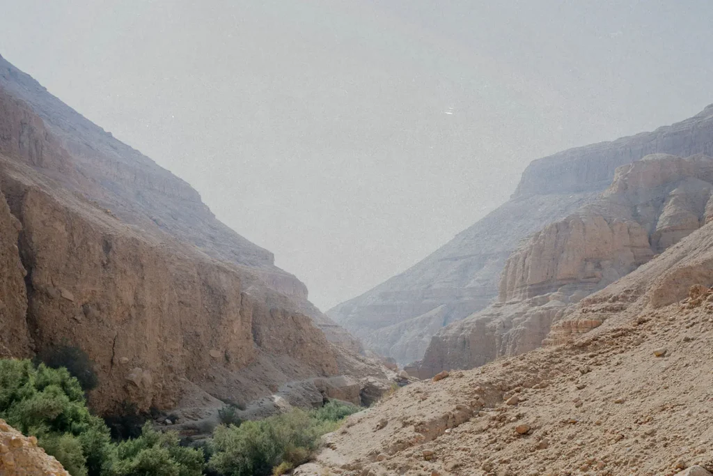 Valley of trees in the mountains