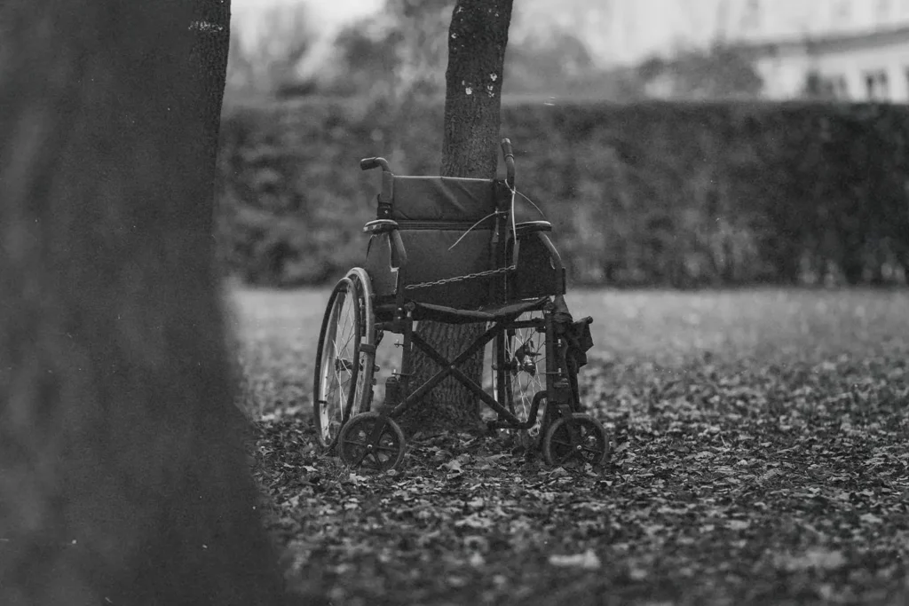 Wheelchair in the park