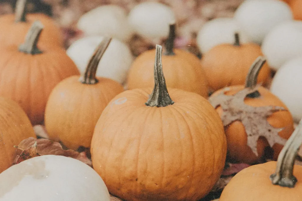 Orange and white pumpkins displayed on autumn leaves