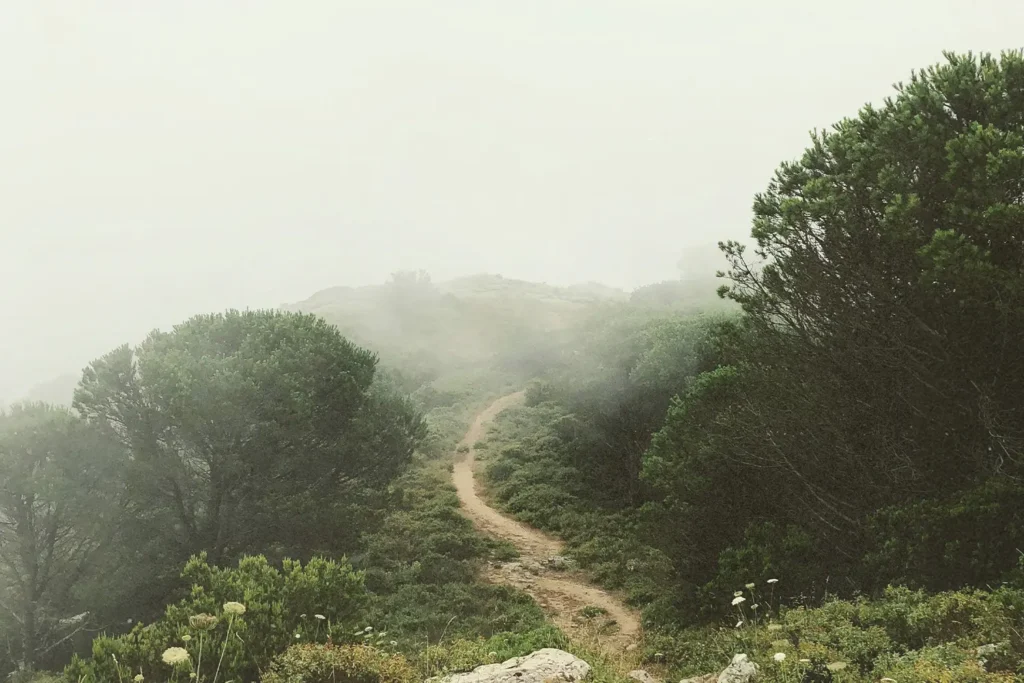 dirt road to top of hill in fog