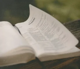 Open Bible on a wooden surface with a page from Hebrews gently lifting in the breeze outdoors