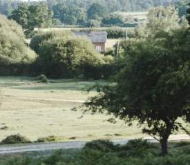 Peaceful countryside landscape with open grassy fields, dense trees, and a small house partially hidden by foliage