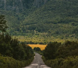 road descending into a green valley with trees on either side