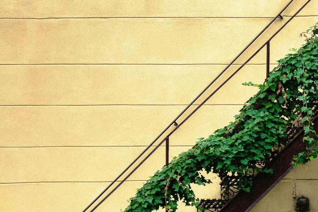 Vines wrapped around staircase handrail