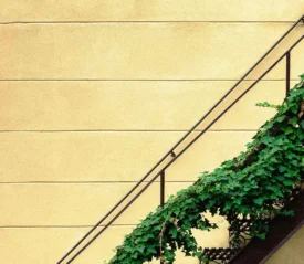 Vines wrapped around staircase handrail