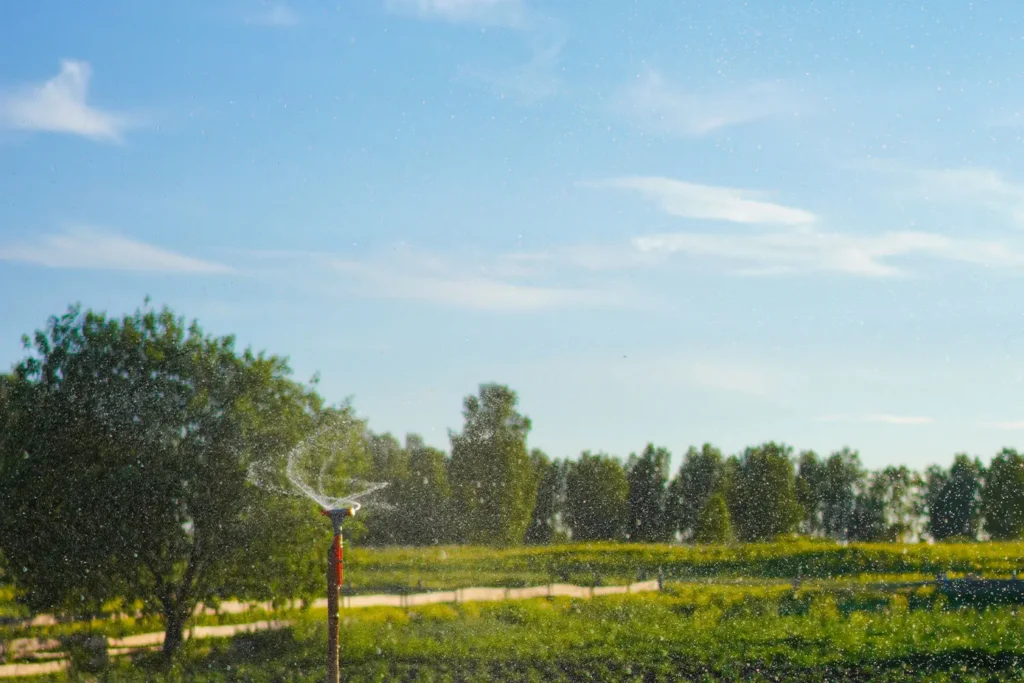 sprinkler watering grass
