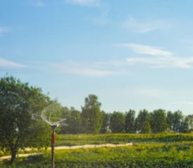 sprinkler watering grass