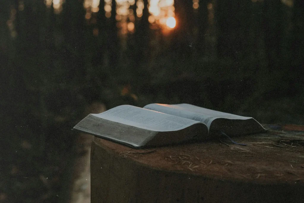 Open Bible resting on a tree stump in a forest with warm sunlight shining through the trees