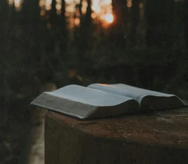 Open Bible resting on a tree stump in a forest with warm sunlight shining through the trees