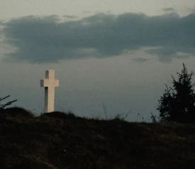 stone cross outside among short trees