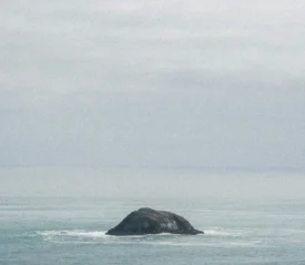 land peeking out of the water