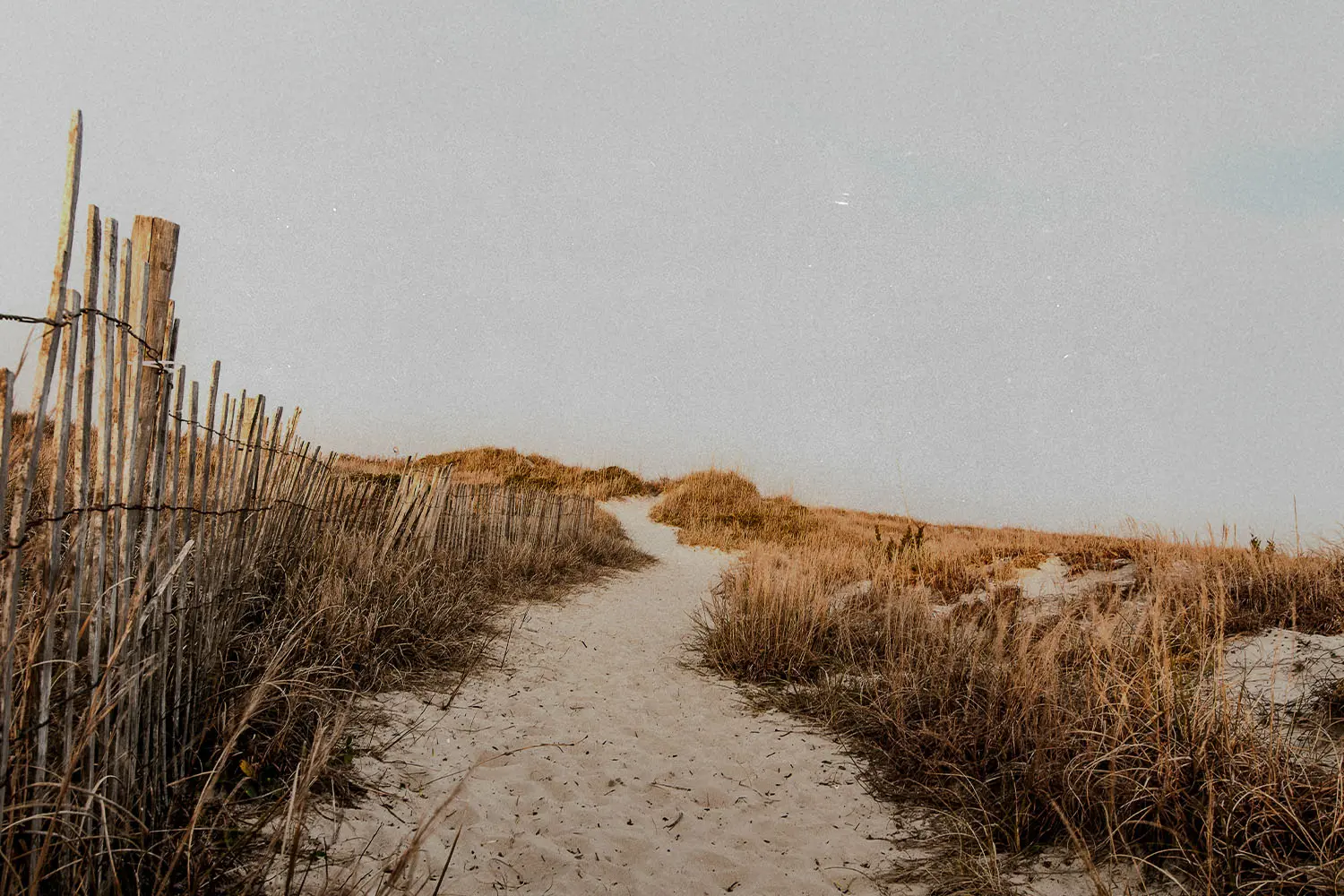 Sandy path winding through tall beach grasses toward low dunes under a pale sky