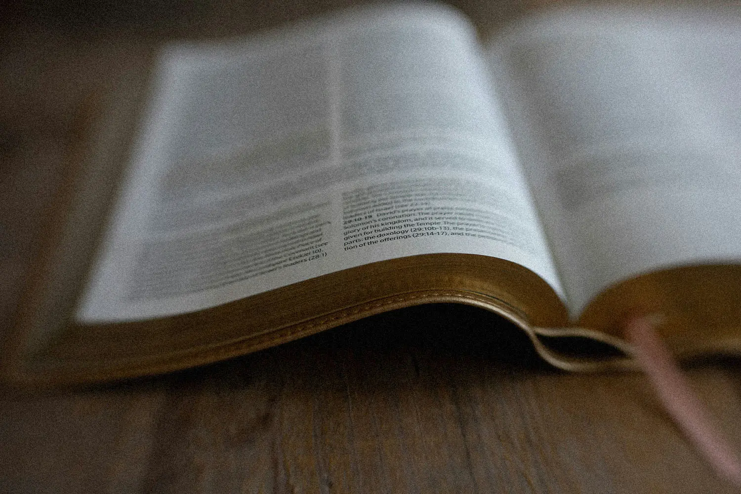 closeup of the bible