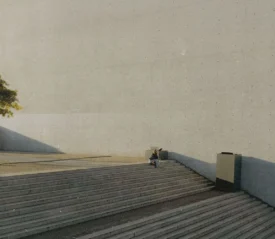 A lone person sits on wide concrete steps beside a large, plain wall, with a small tree casting a long shadow nearby