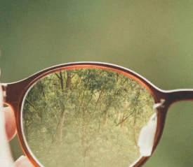 Left glasses lens with trees in focus and a blurred background