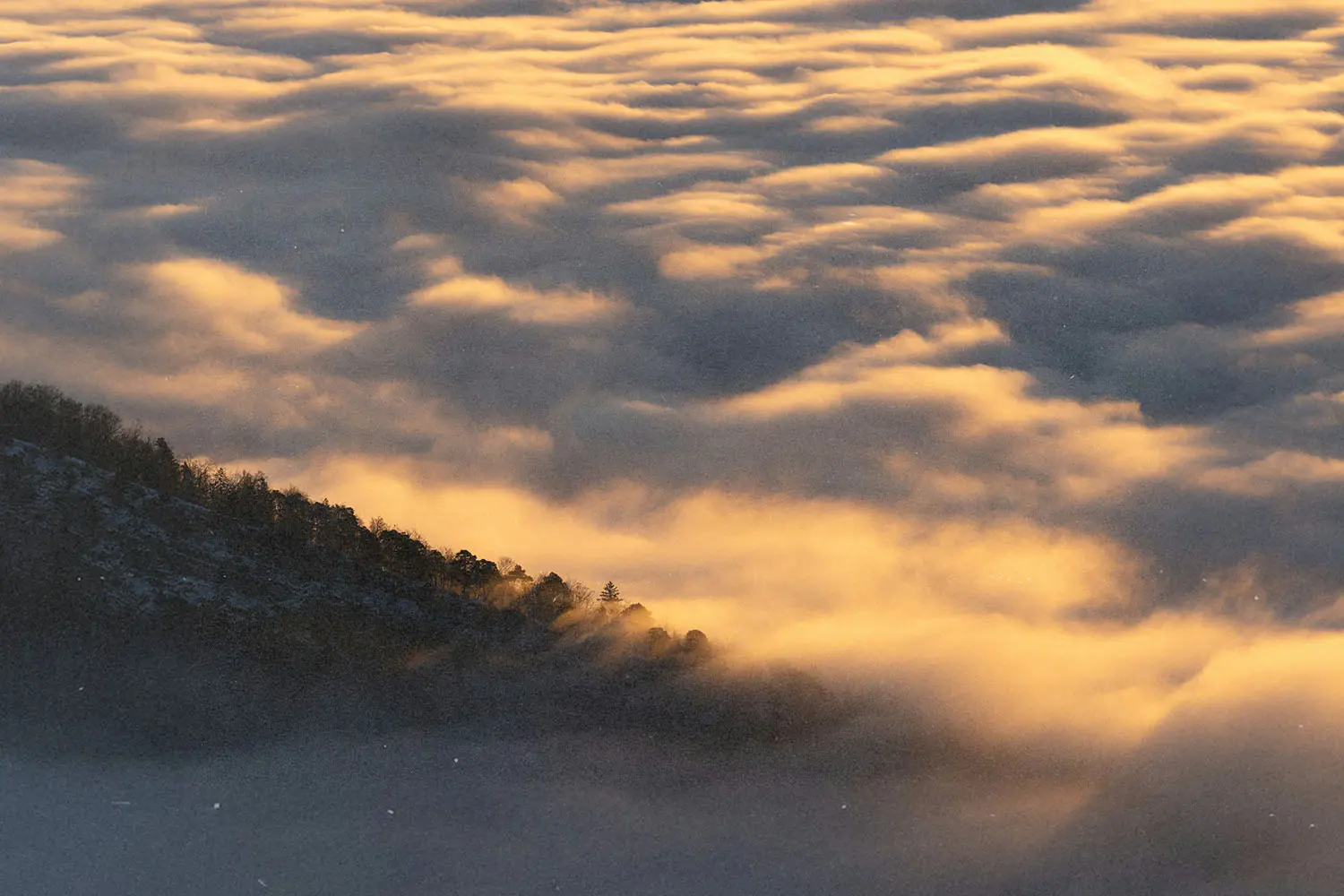 Bed of clouds resting on mountain top