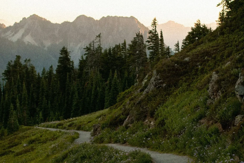 road winding through moutains