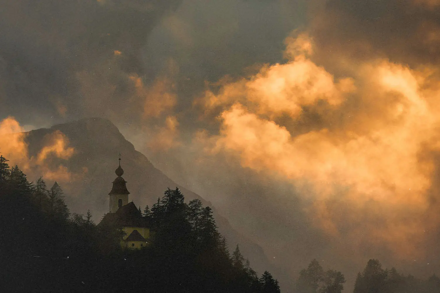 Cathedral peeking out from behind a tree line with a sunset in the sky