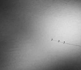 Clear open dessert with 3 people following a single line in the sand