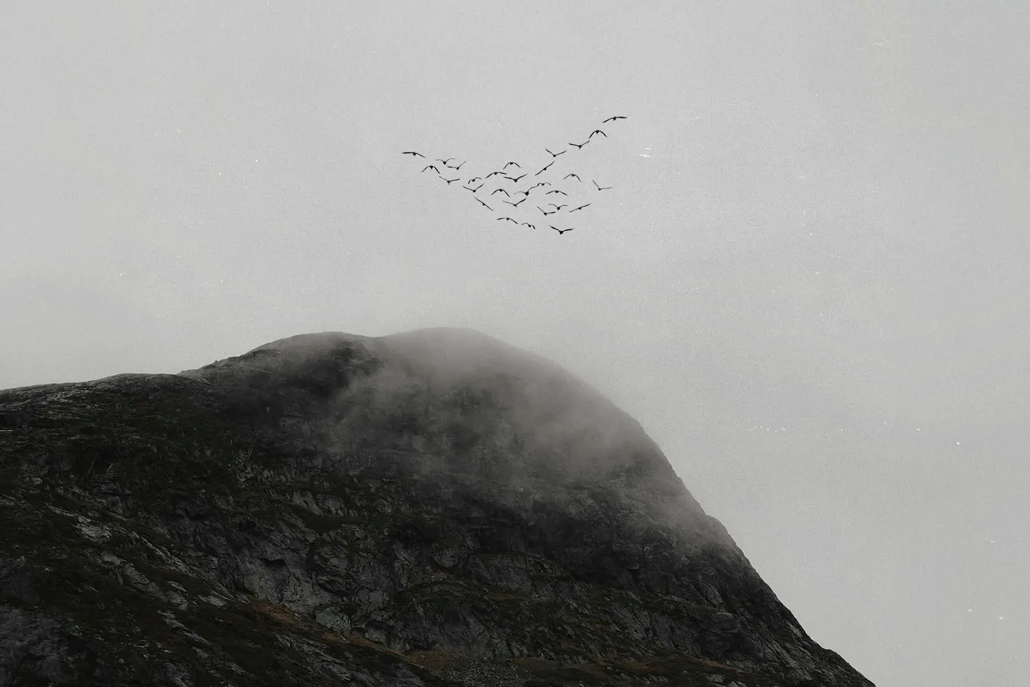 A flock of birds flies in formation over a rugged, mist-covered mountain peak under a gray sky