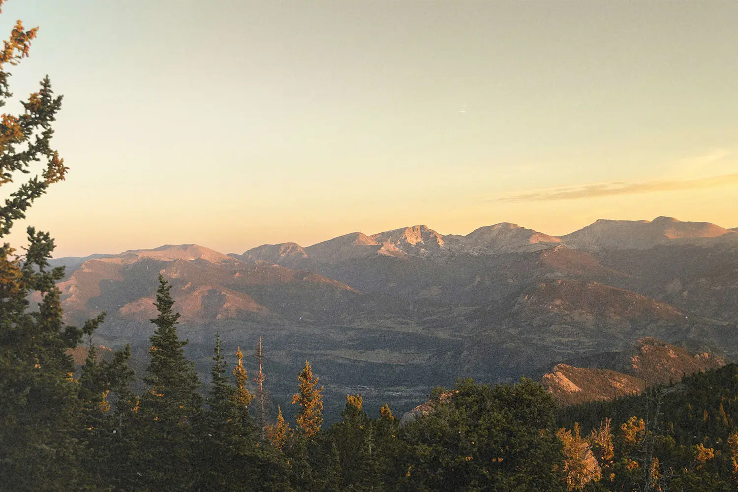 A mountain range glows in warm sunset light, with trees in the foreground and layered peaks stretching into the distance
