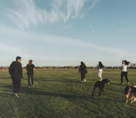 A group of people walk across an open grassy field under a blue sky, accompanied by two dogs, with the horizon and distant structures in the background