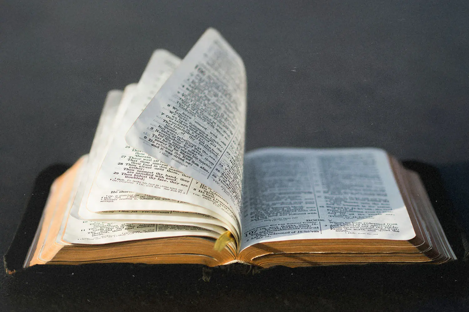 Open Bible with multiple pages turning