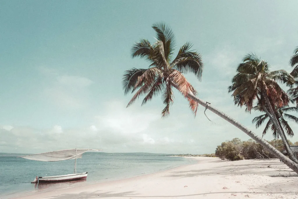 Mozambique Ministry Revived!