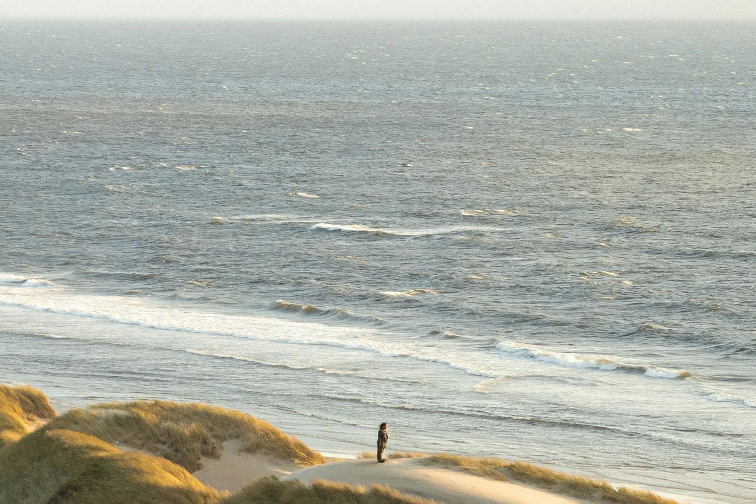 person standing in front of ocean on a hill