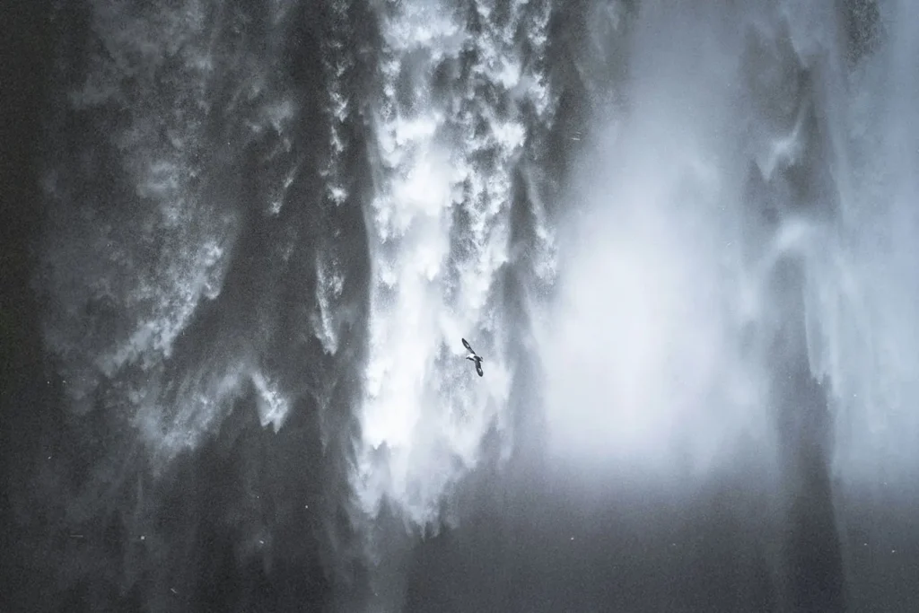 Bird flying in front of a massive waterfall, surrounded by mist and cascading water