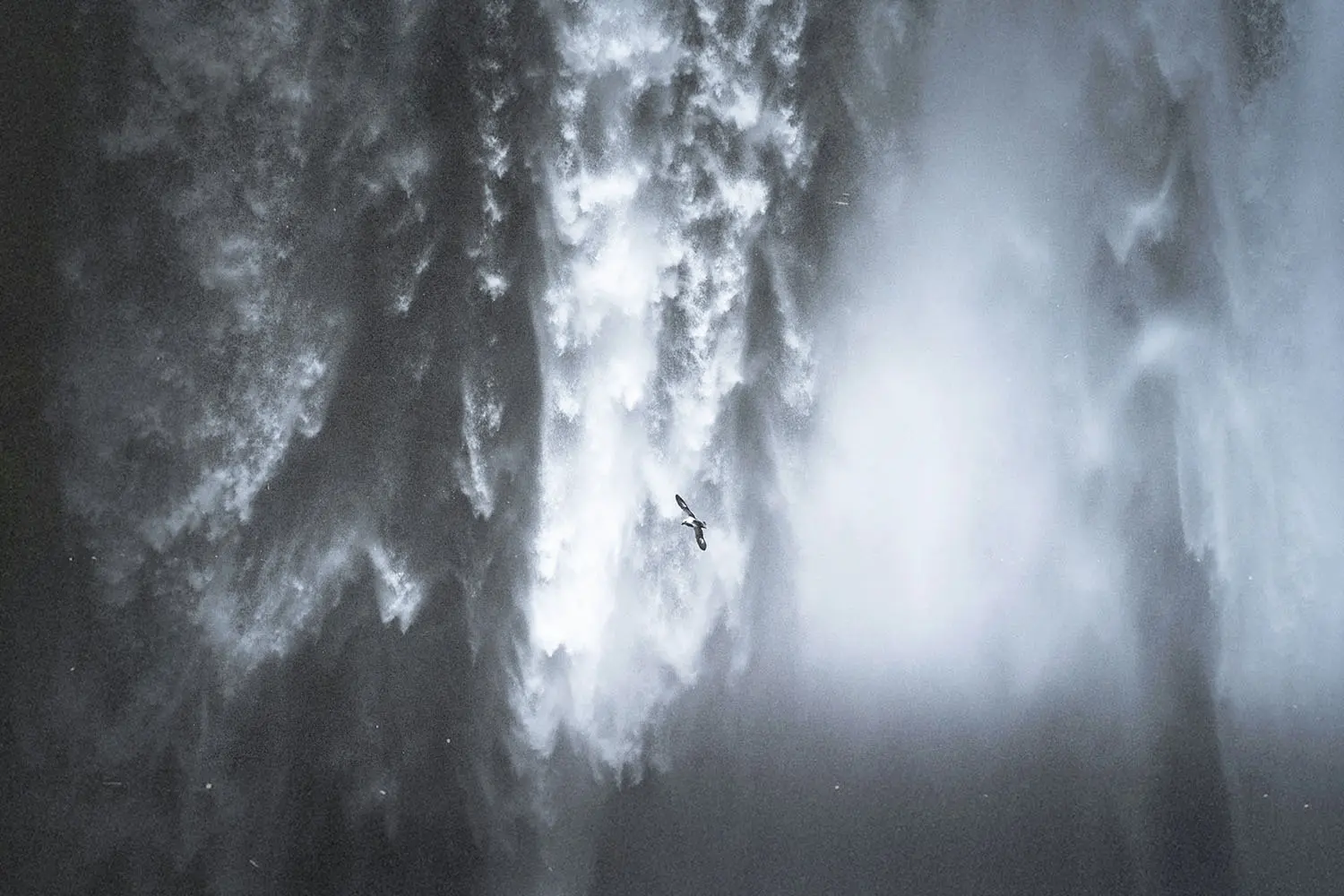 Bird flying in front of a massive waterfall, surrounded by mist and cascading water