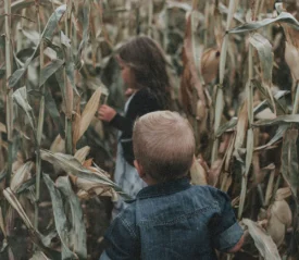 Two young children walk through tall, dry corn stalks in a dense cornfield