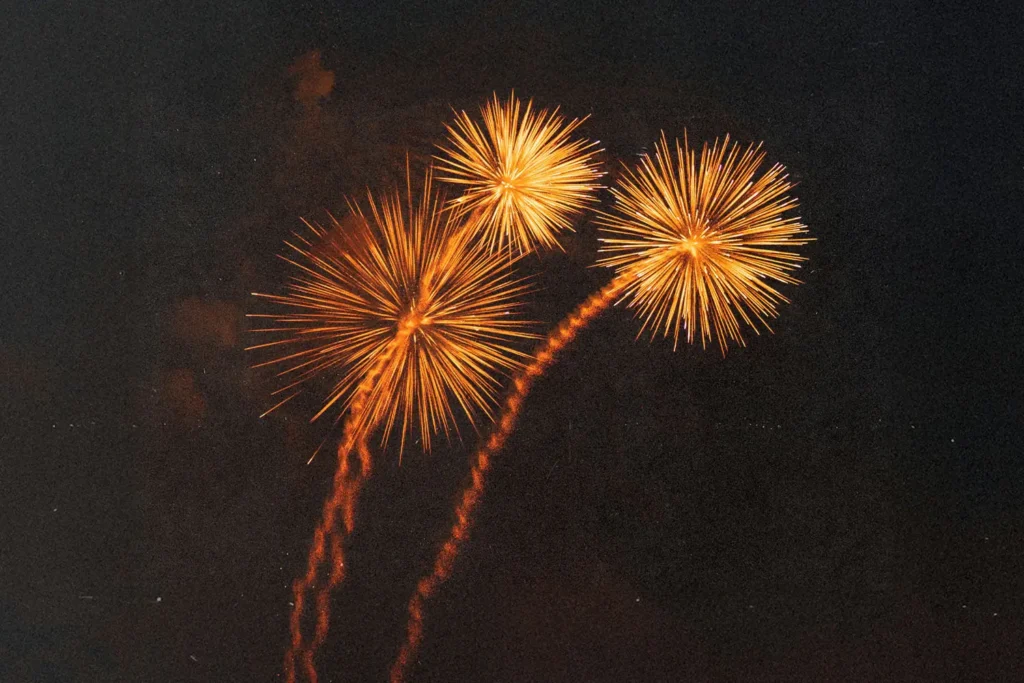 Fireworks in the clear night sky