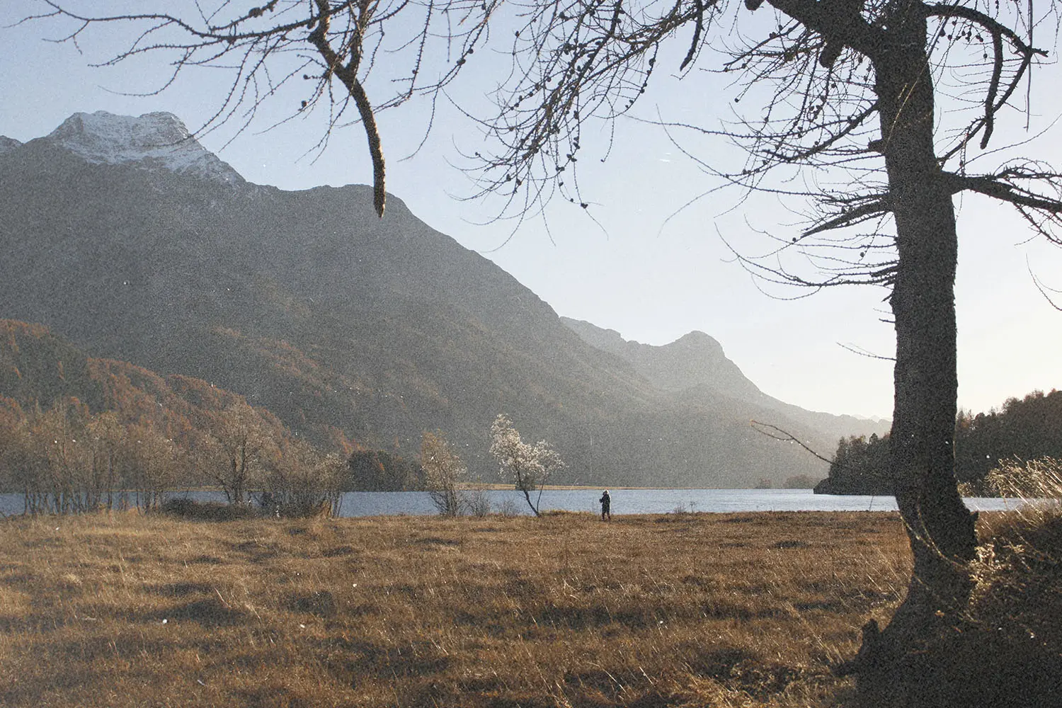 Wide landscape of a grassy field beside a lake with tall mountains in the background and a person standing near the shoreline
