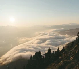 Landscape view of clouds resting on a hill of trees