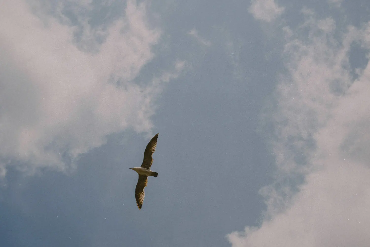 Create a Spiritual Checklist To Soar In Faith