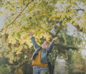 Child standing under a tree with autumn leaves, reaching upward in a sunlit park