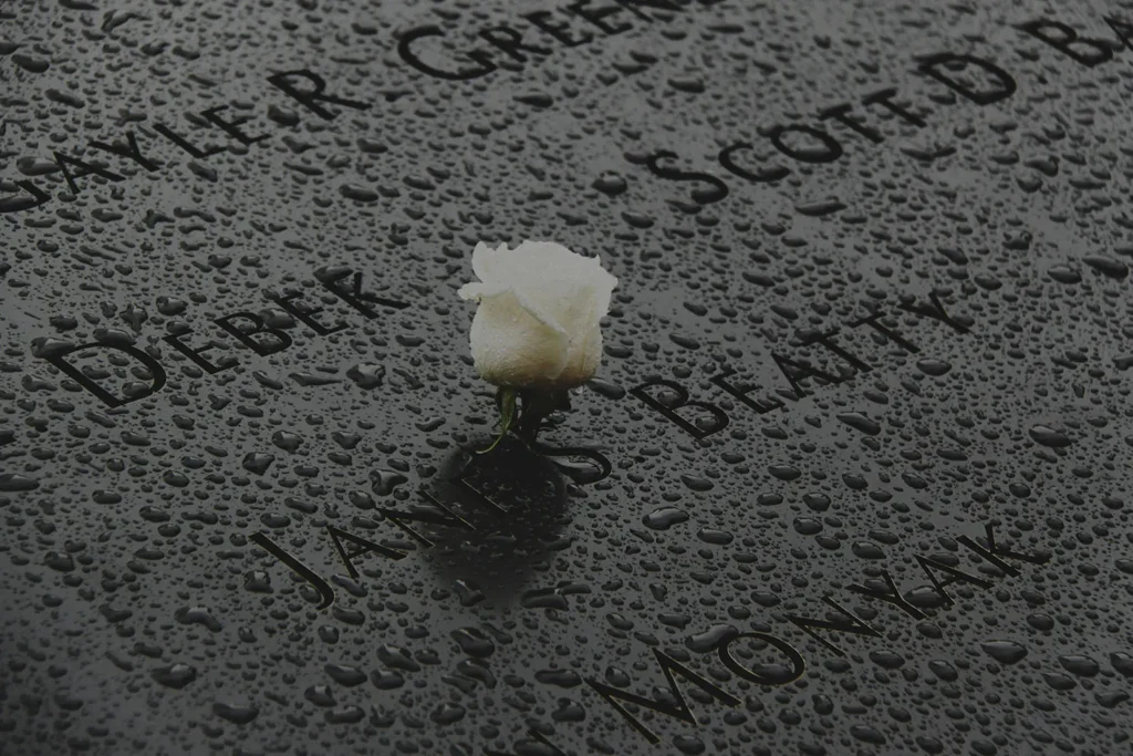 white rose on dark memorial with rain drops