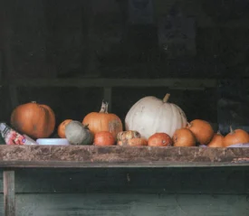 Window seal filled with pumpkins
