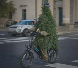 Beat Christmas stress with humor. See this festive image of a cyclist in a full Christmas tree costume navigating city streets.
