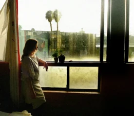 Person standing by a sunlit window with plants, gazing outside as Miracles feel possible in a calm urban setting.