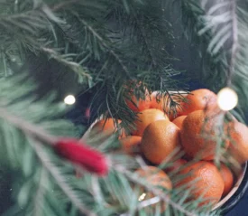 Close-up of oranges in a bowl beneath green pine branches and soft lights, blending holiday decor with freshness during the Christmas Season.