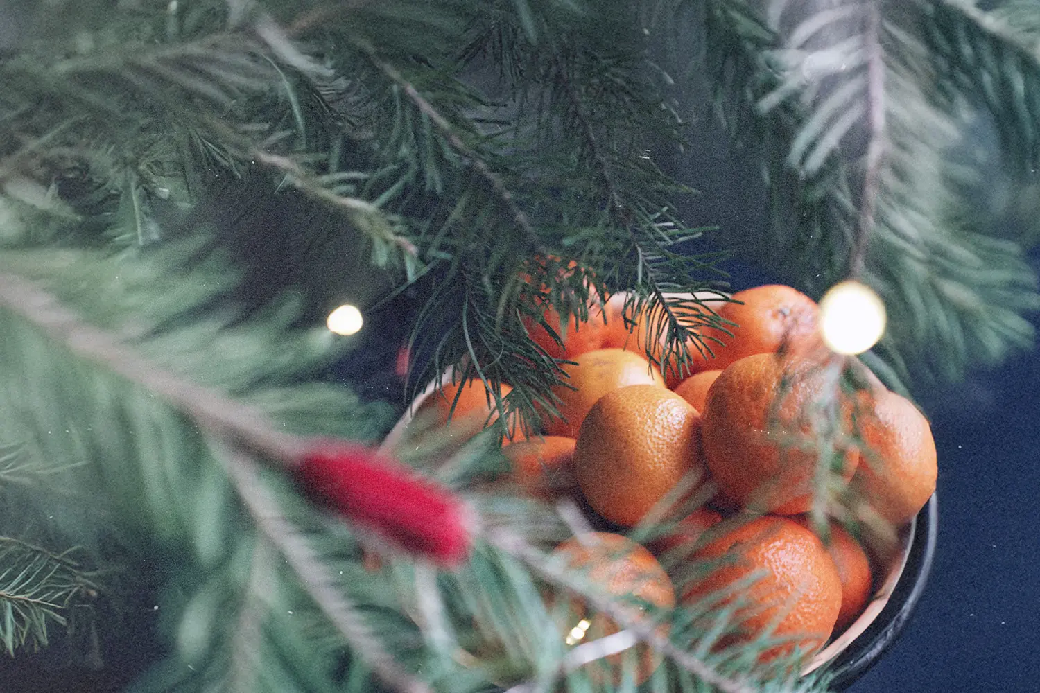 Close-up of oranges in a bowl beneath green pine branches and soft lights, blending holiday decor with freshness during the Christmas Season.